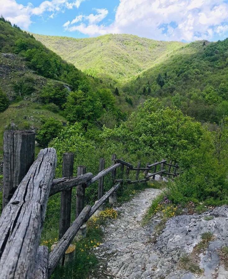 B&B Pisolo E I Persi Pien Roccasparvera Exteriér fotografie